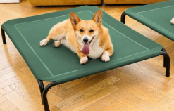 Simple Trending Raised Dog Bed for Large Dogs, Waterproof XL Dog Cot, Outdoor Cooling Elevated Pet Bed Load 200lb, 47.75" x 30.5", Green Simple Trending Raised Dog Bed for Large Dogs, Waterproof XL Dog Cot, Outdoor Cooling Elevated Pet Bed Load 200lb, 47.75" x 30.5", Green