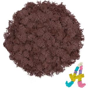 Preserved Reindeer Moss 3.5 OZ Brown Natural for Crafts, DIY Gift Christmas Decor, Wall Art, Potted Plants, Floral Fake Moss for Easter Table Decor Wedding Decorative(3.5 OZ, Brown)