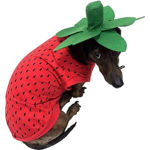 Midlee Strawberry Halloween Dog Costume (X-Large)