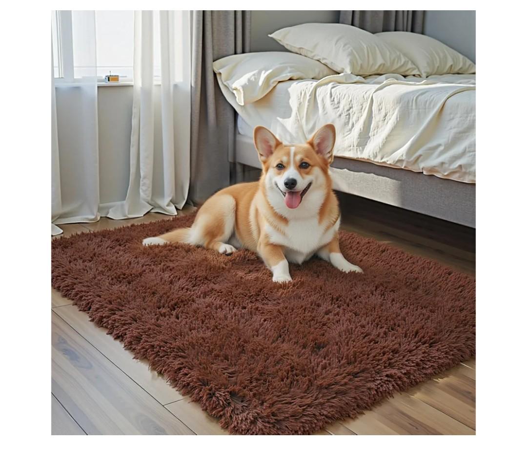 Small Rugs for Bedroom 2x3, Soft Area Rug for Living Room Dorm, Non Slip Shag Rugs for Girls Boys Bedroom, Soft Kids Carpet, Modern Home Decor Aesthetic(Coffee, 2 x 3