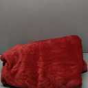 Bedsure Fleece Blanket Twin Size Red - 300GSM Lightweight Plush Fuzzy Cozy Soft Warm Blanket for Bed, Sofa, Couch, Travel, Camping, 60x80 inches