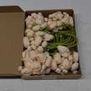 5 Bouquets Cream Ranunculus Artificial Flowers, 30 Pcs Silk Mini Faux Ranunculus Bouquet for Wedding, Bridal Shower, Centerpieces, and DIY Decorations