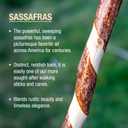 Brazos Wooden Walking Canes for Men and Women, Stable Walking Sticks for Seniors, Made in The USA, 37 Inch