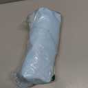 Travel Hair Dryer Brush Dual Voltage Blow Dryer in One, 2 inch Mini Hot Air Styling Tool, Hair Volumizer/Straightener/Curler with Universal Adapter, European Travel Size Styler (50mm Oval, Macaron Mint)