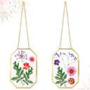 Qunclay 2Pcs Pressed Flower Frames Floating Wall Hanging Double Glass Frames with Metal Chain for Display Dried Plant Specimen Picture Pretty Gifts for Mom Friends DIY Handy Craft(Gold,5 x 7 Inch)