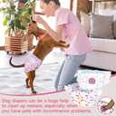 Pet Soft Disposable Dog Diapers - Female Dog Diapers with Adjustable Foam Tail Hole, Ultra Protection Puppy & Cat Diapers Wetness Indicator for Dogs in Heat or Incontinence,20pcs (XS,Red)