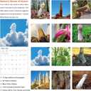 9 x 2026 Funny Wall Calendar 12 Month, Large Wall Calendar 2026 from January to December 2026, Natures Pics Funny Gag Gift for Adults, White Elephant Gift, Thick Glossy Paper, 12"x24" Open