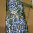 Elyum Babys Breath Artificial Flowers, 25 Pcs Baby Breath Flowers Fake Bulk