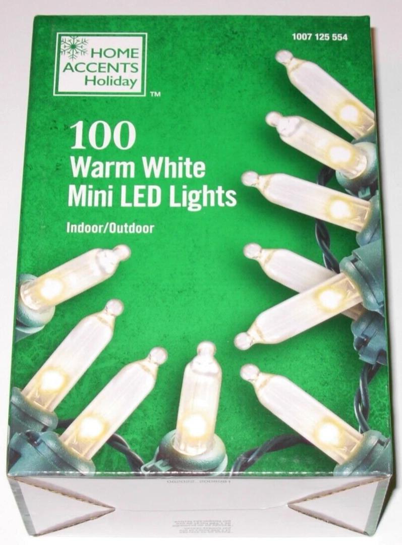 Home Accents Holiday 100ct Warm White LED Mini String Lights w/Green Wire NEW