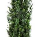 Nearly Natural 12ft UV Resistant Artificial Cedar Pine Tree Indoor/Outdoor Greenery