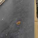 Sauder Palladia L Shaped Desk with Drawers, Office Desk with File Cabinet Storage, Cable Management, Keyboard Tray, in Glacier Oak Finish