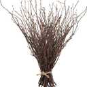 Uieke 50PCS Birch Twigs 17 Inch Natural Dried Plants Decorative Birch Branches for DIY Crafts, Birch Sticks for Vases Wedding Arrangements Home Wreath Decor