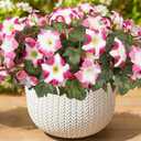 Artificial Flowers for Outdoors, Faux Petunias Spring Summer Decoration, Fake Flowers Plants UV Resistant Look Real Silk Flowers for Outside Planter Front Door Porch Patio Yard (12, Pink-White)
