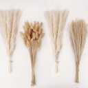 Natural Dried Pampas Grass Decor, White Pampas Grass Bunny Tails Dried Flowers, Reed Grass Bouquet for Wedding Boho Flowers Home Table Decor, Rustic Farmhouse Party (100 in Total )