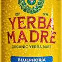 Yerba Madre Organic Yerba Mate, Bluephoria, 150mg Natural Caffeine, Energy Drink Alternative, No Jitters or Crash, 15.5 Oz Cans (Pack of 12)