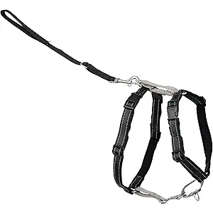 PetSafe 3-in-1 Harness - Comfortable Easy-Walk Dog Chest Harness with Front Leash Attachment to Reduce Pulling, Choking & Gagging - Dog Obedience Gear - Large- Teal