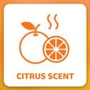 2 x Amazon Basics Extra Strong & Flex Tall Kitchen Drawstring Trash Bags, Citrus Scent, 13 Gallon, 40 Count