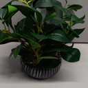 AlphaAcc Artificial Succulents Plants Decor Greenery Fake Succulents Indoor Potted Fake Plant with Rustic Black Clay Planter for Farmhouse Room Bathroom Bedroom Kitchen Office Dese Coffee Table Decor (12.8" H)