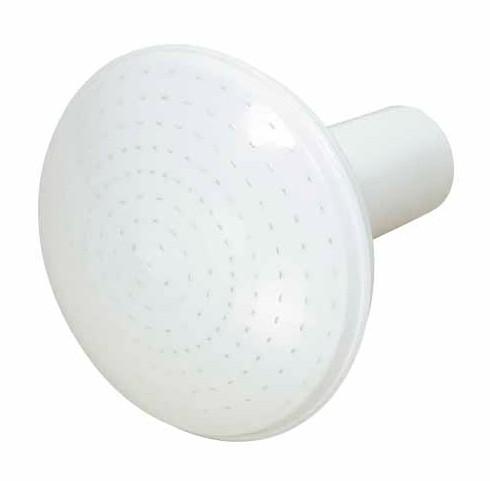 Watering Can Rose White