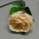 YalzoneMet 3.5'' Big Bloom Champagne Rose Artificial Flowers 4Pcs Real Touch Rose Faux 17.7Inch Long Stem Austen Roses Peonies Fake Flowers for Boho Home Kitchen Party Spring Flower Wedding Decor