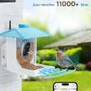 Osoeri Bird Feeder with Camera - Solar Smart Bird Feeder with AI Identify, 1080P HD Auto Capture Birds Video, Real-Time Alerts, Gifts for Family and Friends, 2.4GHz WiFi