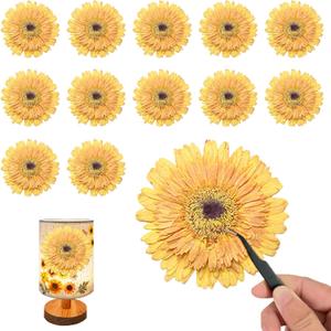 ALJ Large Size Golden Yellow Dried Sunflowers for Crafts Embellishment, Natural Real Pressed African Daisy for Resin DIY Jewellery Candle Making Phone Case Home Wedding Decor (3.14-3.54IN)