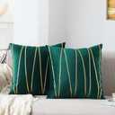 WACOMECO Soft Throw Pillow Covers - Pack of 2 Velvet Decorative Cushion Covers Cases for Sofa Bedroom Livingroom Car, 18" x 18", Dark Green and Gold