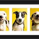 DUENPY 8x24 Collage Picture Frames Display Five 4x6 Picture Collage Wall Decor Wall Hanging or Tabletop Black, 8x244x6 Opening
