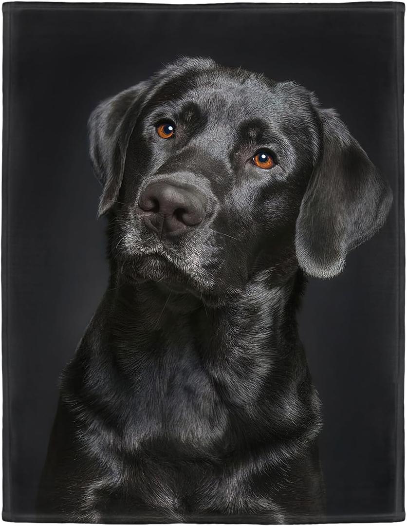 HommomH Black Lab Blanket, Gorgeous Labrador Dog Print, Soft Fluffy Fleece Throw 50"x60"