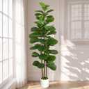 Artificial Fiddle Leaf Fig Tree in Modern White Planter, 5ft
Large Fake Tree with 3 Sturdy Trunks, Fake Plants with Moss, Lifelike Tall Artificial Plants Indoor for Office Home Decor