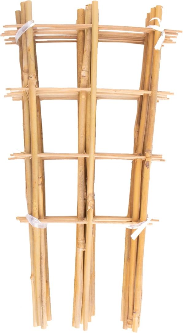 Avalution 10 Pack Bamboo Trellis for Climbing Plants, 4 FT Garden Ladder Trellis for Potted Plants Indoor, Fan-Shaped Small Plant Support Trellis for Houseplants Ivy Hoya Vine Monstera