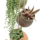 Yesland Ceramic Hanging Mini Flower Planters, Wall or Ceiling Mount - Dangling Container in Earth Tone Colored for Indoor Outdoor Decor - Set of 4