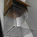 HAVAHART 1079SR Large 1-Door Humane Catch and Release Live Animal Trap Cage - Live Raccoon Trap, for Bobcats, Beavers, Dogs, & More
