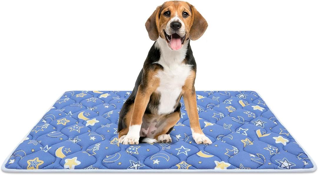 Bubble bear Dog Crate Mat - Ultra Soft, Washable & Anti-Slip Kennel Pad for Small/Medium/Large Dogs, Dark-Hued to Hide Stains (36"x23") (Blue)