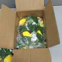 2 Pcs Artificial Lemon Flower Garland Vine, 14 Ft Fake Yellow Lemon Vines Silk Flowers Hanging Floral Garlands Decoration for Room Wall, Flower Themed Party, Wedding Supplies
