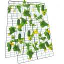 Kyrieval Cucumber Trellis 48" L X 34" W Inches Adjustable A Frame Trellis with 6 pcs Garden Staples for Climbing Plants Outdoor(3 Pack)