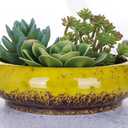 VanEnjoy 7.3 inch Round Large Shallow Succulent Ceramic Glazed Planter Pots with Drainage Hole, Bonsai Pots Garden Decorative Cactus Stand Flower Container (Yellow)