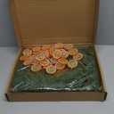 9 Ft Artificial Norfolk Pine Garlands with 9Ft Orange Slice Christmas Garland Realistic Pine Garlands Green Artificial Greenery Garland for Table, Mantle, Wall, Indoor, Outdoor Christmas Decorations