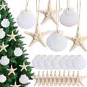 20 PCS Christmas Tree Hanging Ornaments Natural Starfish Sea Shells Decorations Beach Style for Wedding Birthday Craft Projects