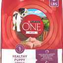 Purina ONE Plus Healthy Puppy Formula High Protein Natural Dry Puppy Food with added vitamins, minerals and nutrients - 8 lb. Bag (EXP 07/31/27)