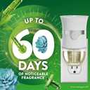 Air Wick Plug in Scented Oil Refill, 5 ct, Blue Agave and Bamboo, Air Freshener, Essential Oils