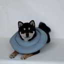 Dog Cones for Large Dogs,Comfortable Adjustable Soft Dog Cone Alternative After Surgery,Elizabethan Donut Collar for Large Dogs Recovery