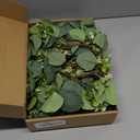 8 Pcs Candle Rings Artificial Eucalyptus Leaves Wreaths Candle Rings Wreaths Greenery Wreath Candle Rings for Pillars Boho Wreath Pillar Candleholders for Wedding Party Home Table Door(Vivid Style)