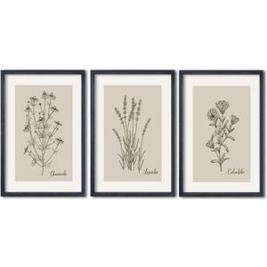 TQianJiang Set Of 3 Framed Vintage Botanical Prints Wall Art 16"11" Wildflower Pictures Wall Decor for Bedroom Bathroom Living Room Minimalist Line Drawing Neutral Tones Wall Hanging (Black)