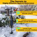 Squirrel Baffle for Bird Feeder Pole, Squirrel Proof Bird Feeder Protection | Easy Installation, Weatherproof Plastic, Fits Yards & Farms, Stops Squirrels & RaccoonsBalck