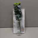 Zelura 2 Pack Wood Glass Wall Vases and Plants Artificial, Indoor Wood Hanging Vase, Modern Farmhouse Wall Decor for Bathroom Office and Living Room, Farmhouse Sconces Wall Decor (White)