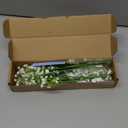 Dolicer 5 Pcs Babys Breath Artificial Flowers, White Long Stem Baby Breath Flowers Artificial Bulk, Real Touch Fake Babys Breath Gypsophila for Wedding Bridal Bouquet Party Arrangements Home Decor