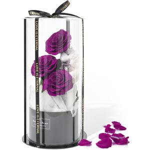 Flowers Forever Roses in A Box, 3 Real Roses with Stems and Bear, Eternal Rose Gifts for Her,Birthday Gifts for Women, Mom,Girlfriend,Grandma,Daughter,Purple