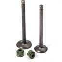 MOTO1988 Engine Valve Set Exhaust Valve Intake Valves For Honda XR100R XR80R CRF100F CRF80F NSF100 XL100S XL75 XL80S XR100 XR75 XR80 OEM 14711-152-000 14721-176-000