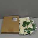 AmyHomie Artificial Flower Ivory Rose 25pcs Real Looking Fake Roses w/Stem for DIY Wedding Bouquets Centerpieces Arrangements Party Baby Shower Valentines Day Christmas Tree Decorations